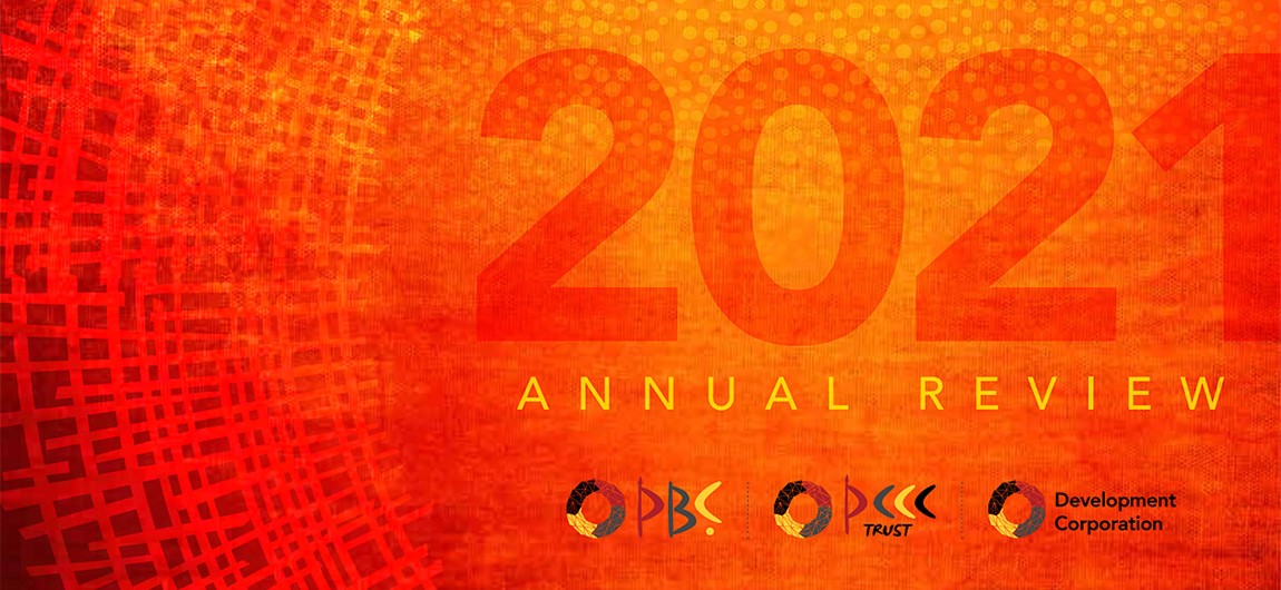 2021 Annual Review cover