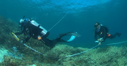 UQ Heron Island Research Station Update thumbnail